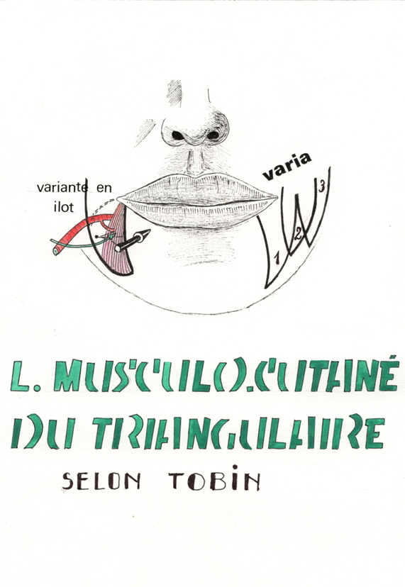 Lambeau musculocutané du Triangulaire